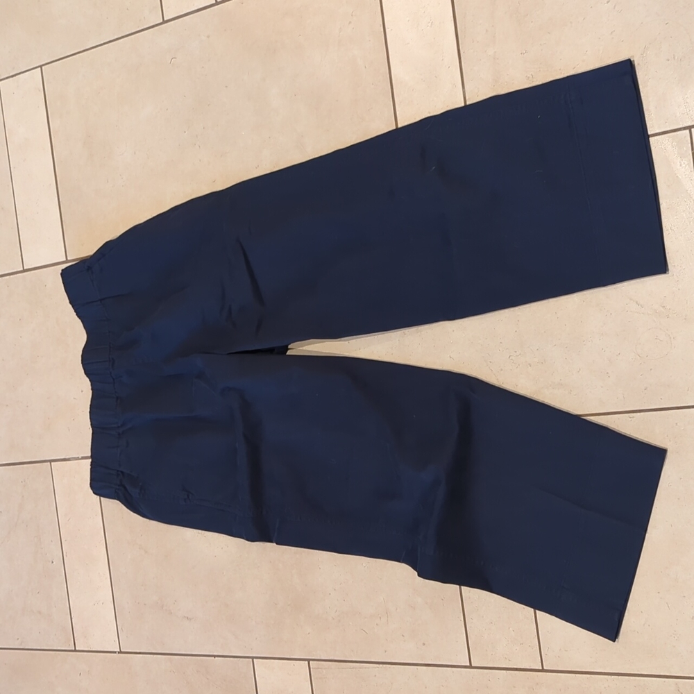 J.Crew Astrid Wide Leg Chino